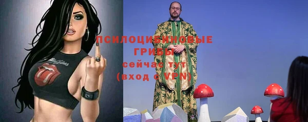 хмурый Белокуриха