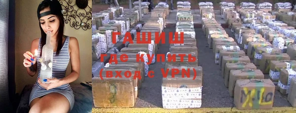 хмурый Белокуриха