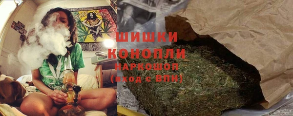 хмурый Белокуриха