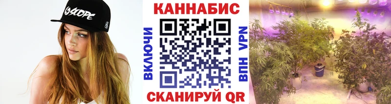 мега маркетплейс  хочу наркоту  Кизилюрт  Канабис планчик 